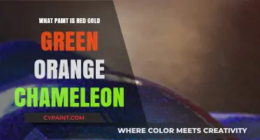 Chameleon Paint Secrets: Red, Gold, Green, Orange Transformations Explained