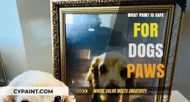 Pet-Friendly Paints: Safe Options for Your Dog's Paws Explained
