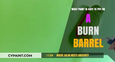 Eco-Friendly Burn Barrel Makeover: Safe Paint Options Revealed
