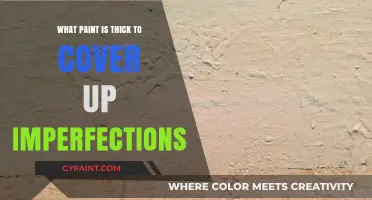 Best Thick Paint Options to Conceal Wall Imperfections Flawlessly