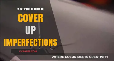 Best Paint Types to Conceal Wall Imperfections Flawlessly and Easily