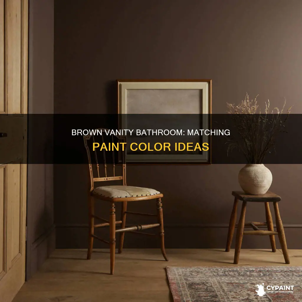 what paint matches a brown vanity in the bathroom