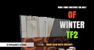 Winter's Warmth: TF2 Paint Colors to Match the Seasonal Heat