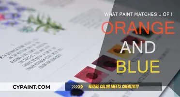 Choosing Paint to Match the University of Illinois Colors