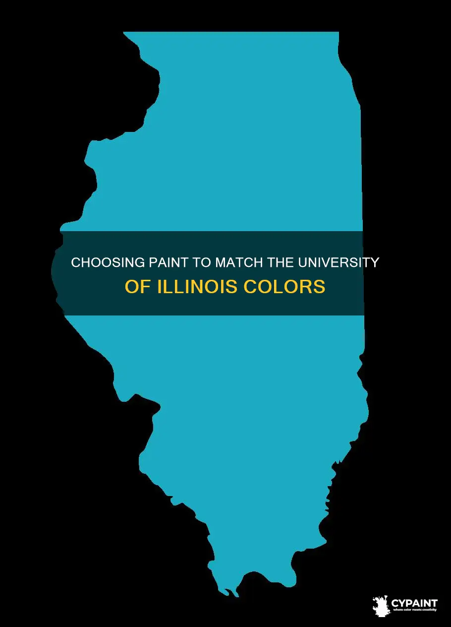 what paint matches u of i orange and blue