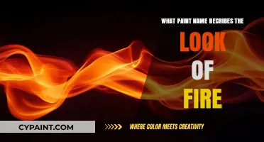 Fiery Hues: Paint Names That Capture the Look of Fire