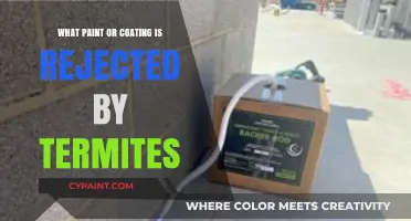 Termite-Resistant Paints and Coatings: Effective Solutions to Deter Infestation