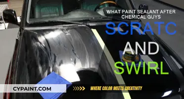 Best Paint Sealants to Pair with Chemical Guys Scratch and Swirl Remover