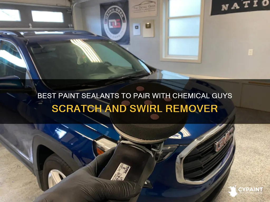 what paint sealant after chemical guys scratch and swirl