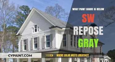 Discover the Perfect Paint Shade Below SW Repose Gray
