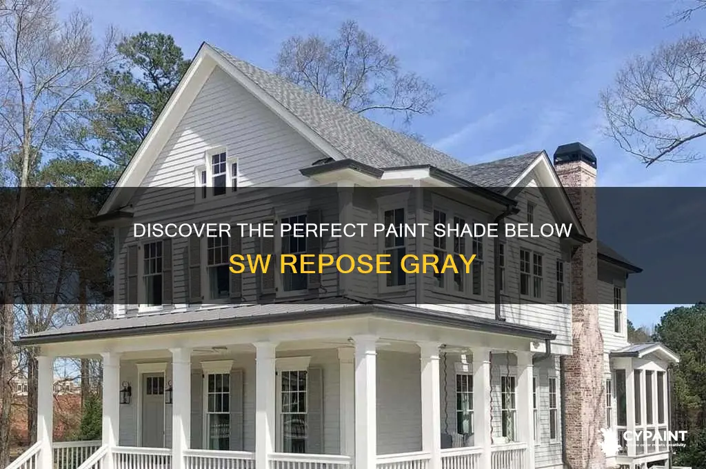 what paint shade is below sw repose gray