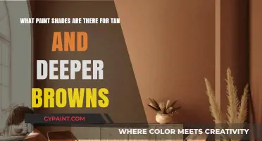 Exploring Warmth: Tan and Deep Brown Paint Shades for Your Home