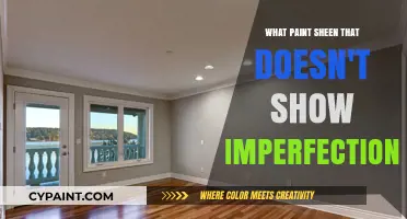 Best Paint Sheen to Hide Wall Imperfections: A Smooth Finish Guide