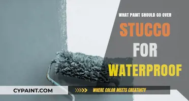 Best Waterproof Paint Options for Stucco Surfaces: A Comprehensive Guide