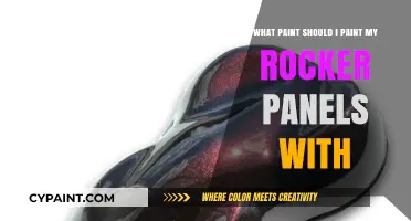 Best Paint for Rocker Panels: A Comprehensive Guide