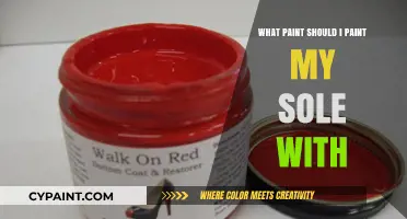 Choosing the Perfect Paint for Your Sole: A Comprehensive Guide