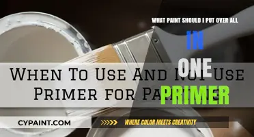 Transform Your Space: The Perfect Paint to Pair with All-in-One Primer