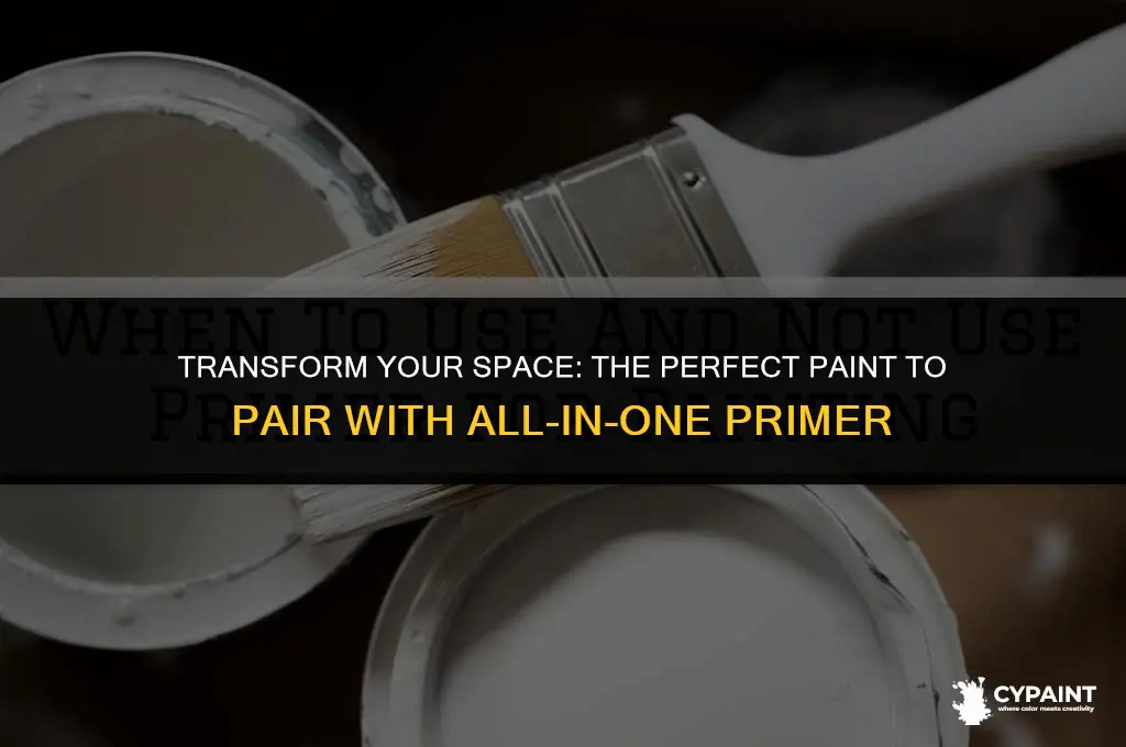 what paint should i put over all in one primer