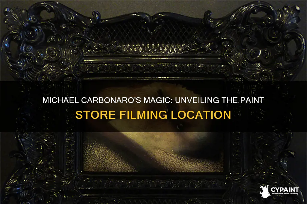what paint store did michael carbonaro film in