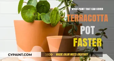 Quick-Dry Paints for Terracotta Pots: A Comprehensive Guide