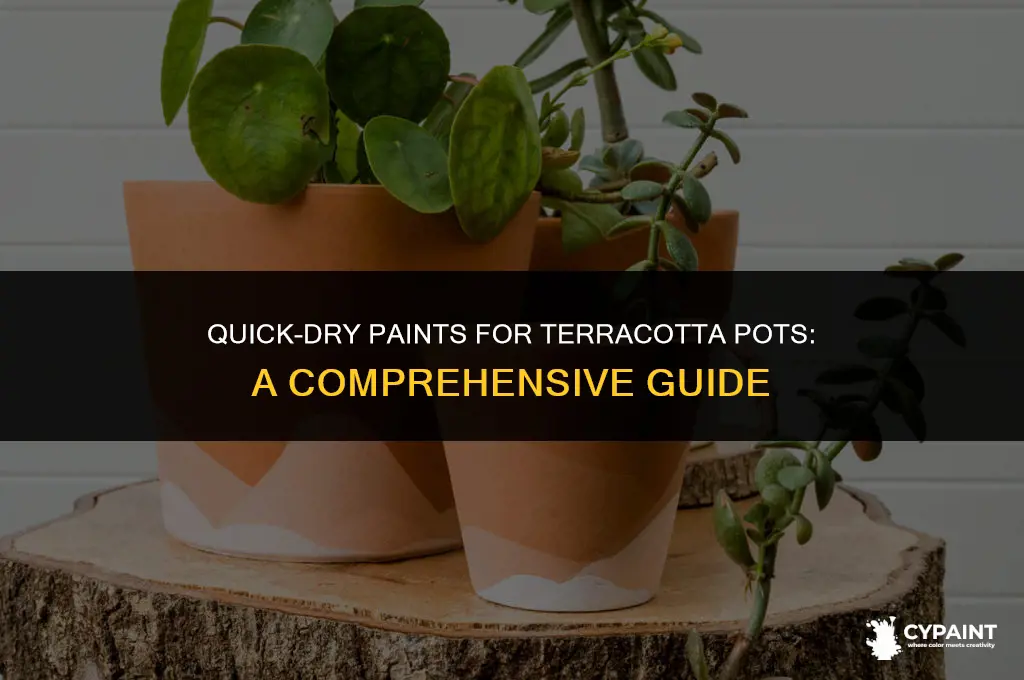 what paint that can cover terracotta pot faster