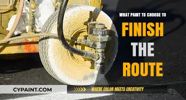 Choosing the Perfect Paint for Your Route Finishing Project