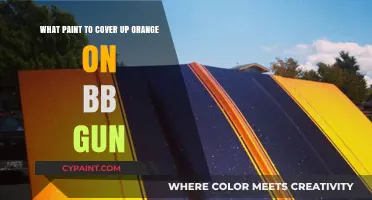 Best Paint Options to Conceal Your BB Gun's Orange
