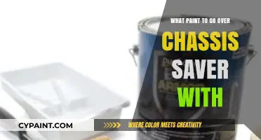 Best Paint Options to Apply Over Chassis Saver for Durability
