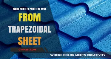 Best Paint for Trapezoidal Sheet Roofs