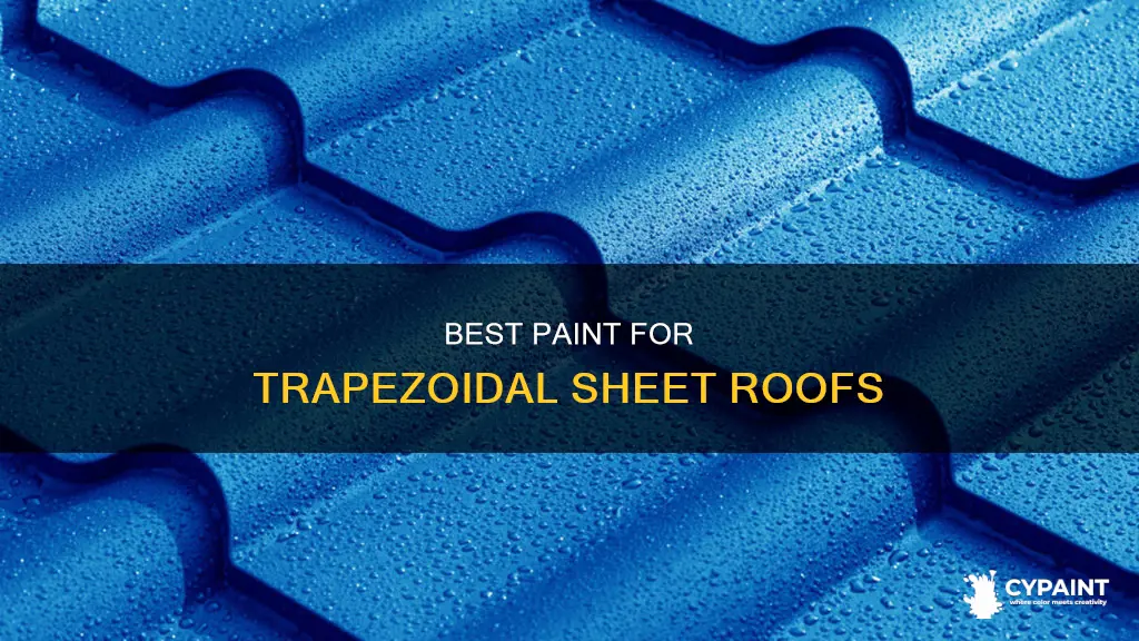 what paint to paint the roof from trapezoidal sheet