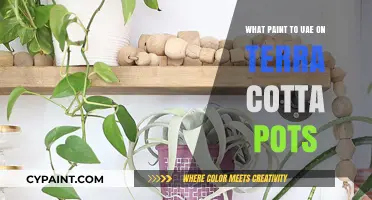 Best Paint Options for Decorating Terra Cotta Pots: A Guide
