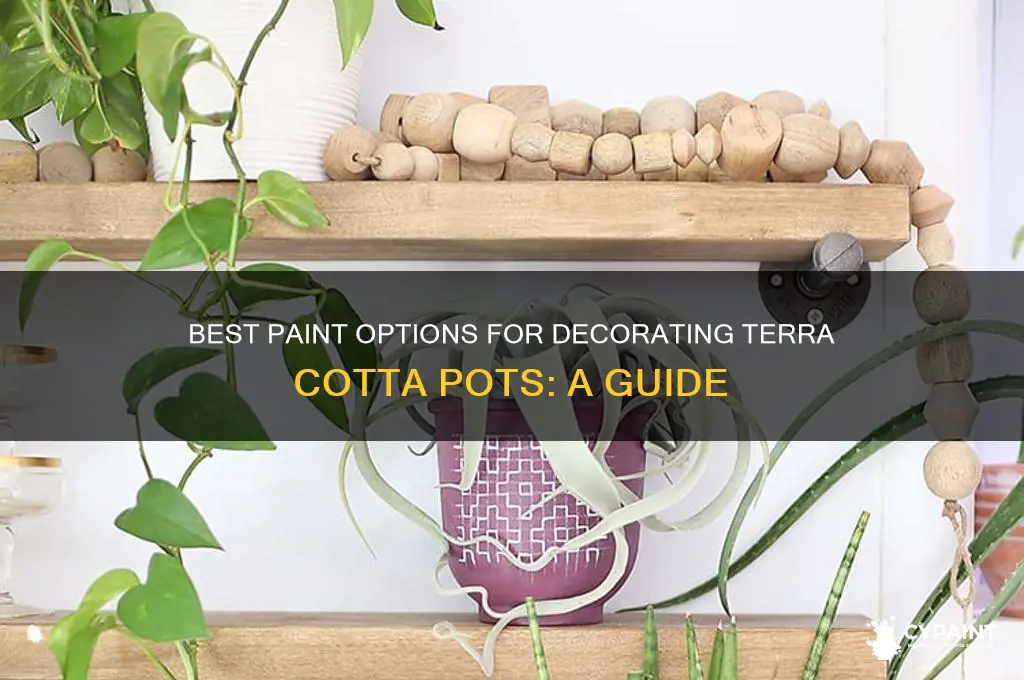 what paint to uae on terra cotta pots