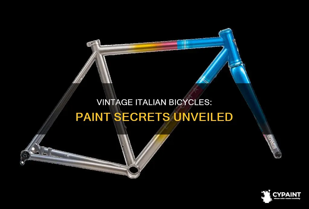 what paint type was on 80