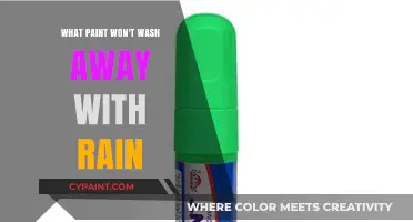 Rain-Resistant Paints: Durable Coatings That Withstand Heavy Rainfall