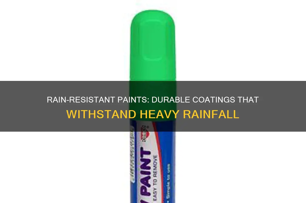 what paint won