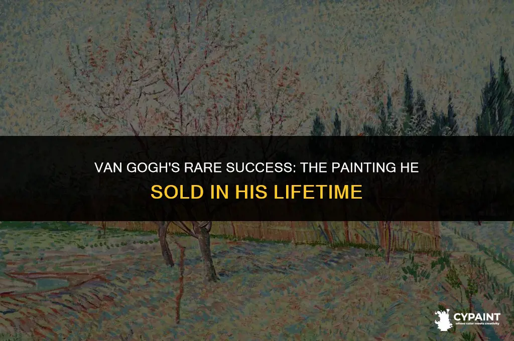 what painting did van gogh sold while he was alive