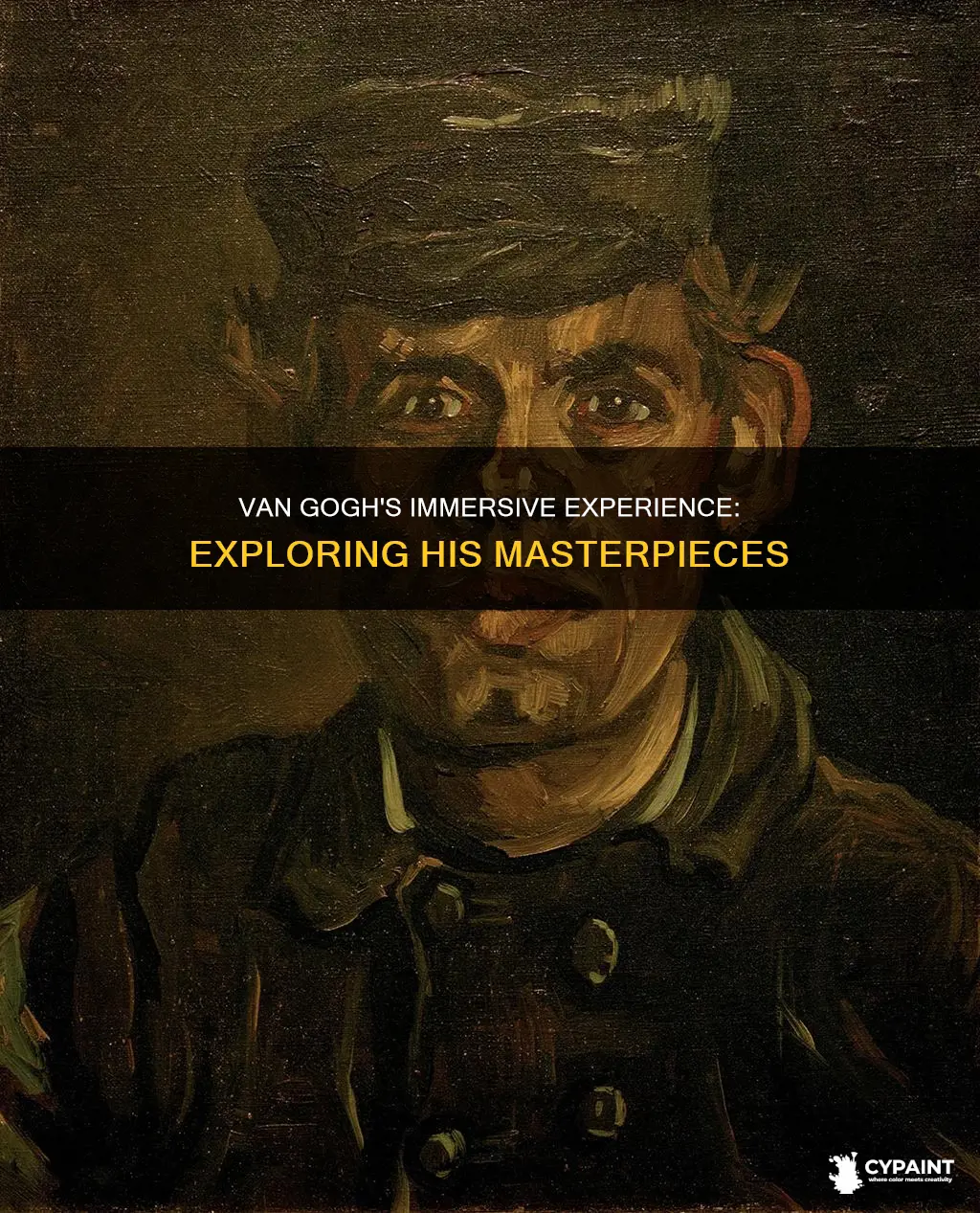 what paintings are in the van gogh immersive experience