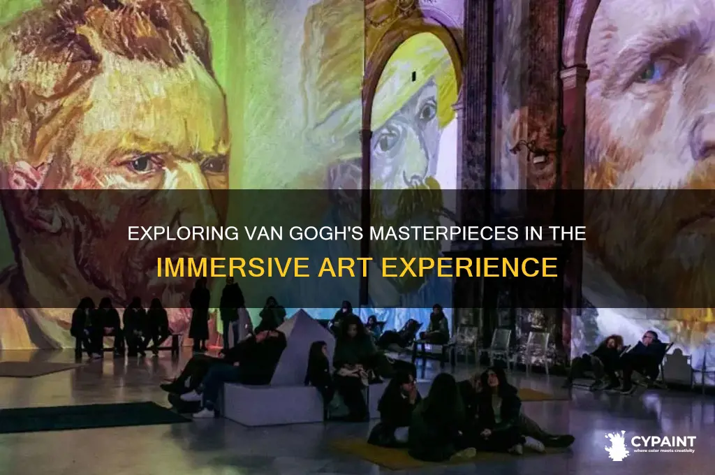 what paintings are included in van gogh immersive