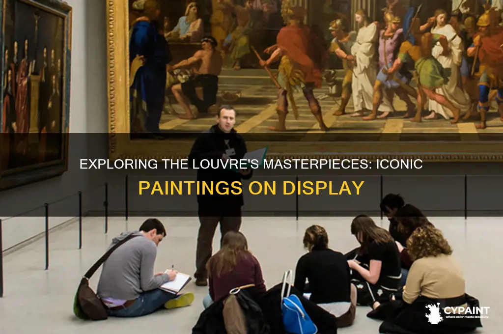 what paintings are on display int he louvre