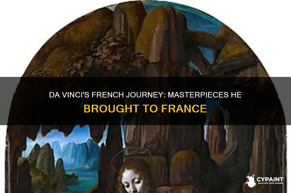 what paintings did da vinci take to france