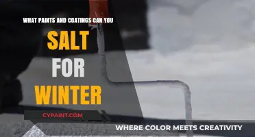 Winter-Ready Paints and Coatings: Salt-Resistant Solutions