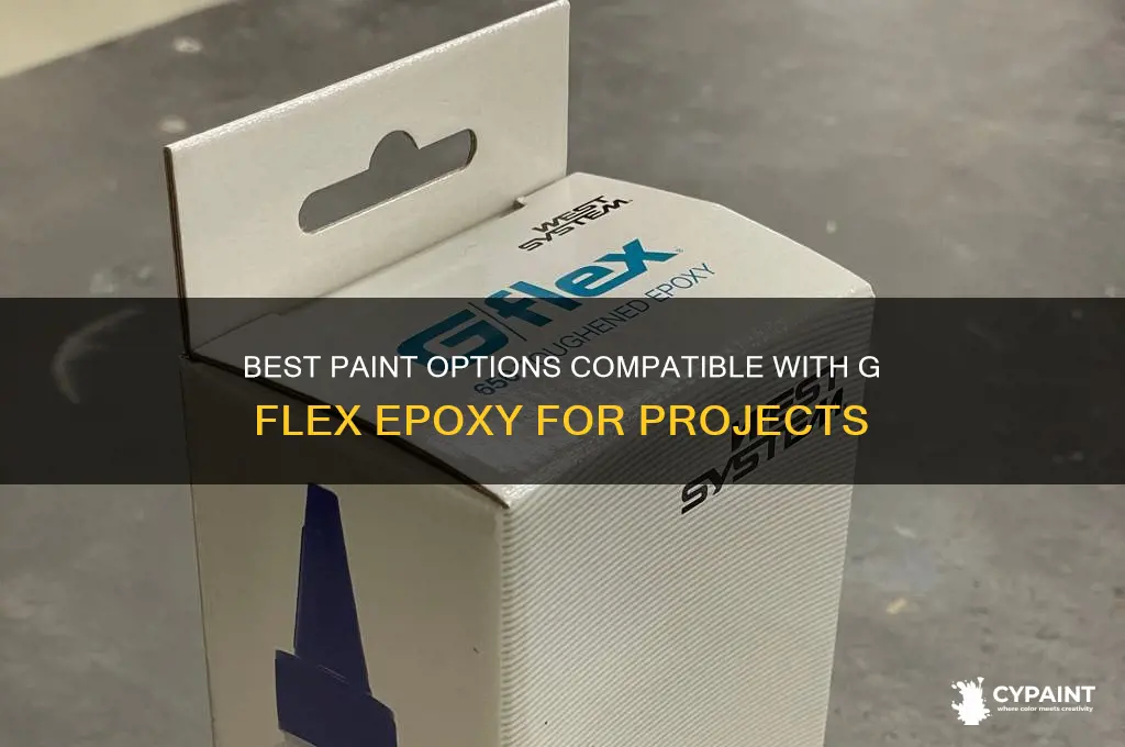 what paints are compatible with g flex epoxy