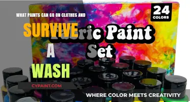 Wash-Resistant Paints for Clothing: A Comprehensive Guide