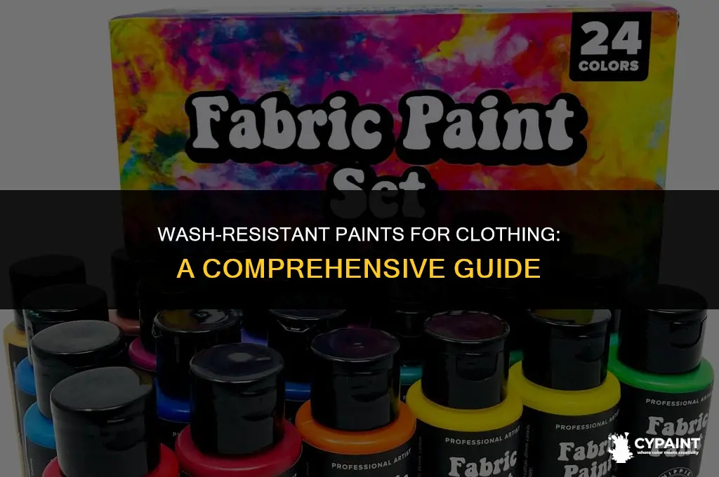 what paints can go on clothes and survive a wash
