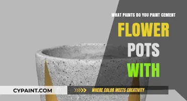 Best Paints for Cement Flower Pots Makeover