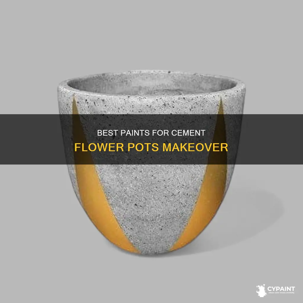 what paints do you paint cement flower pots with