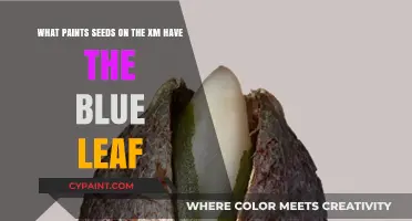Exploring the Blue Leaf Mystery: Unveiling Nature's Artistic Secrets