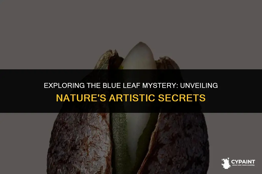 what paints seeds on the xm have the blue leaf