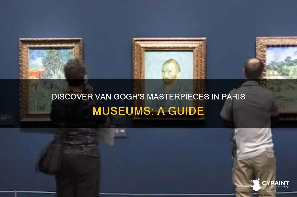 what paris france museums have van gogh paintings