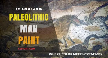 Exploring Paleolithic Art: Cave Wall Paintings